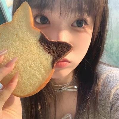 酷狗上学记